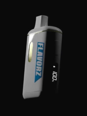 flavorz 2g disposable