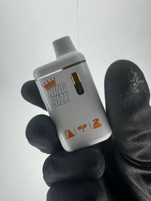 flavorz thc disposable