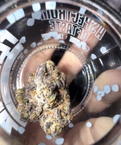 Flavorz Premium Indoor Flower